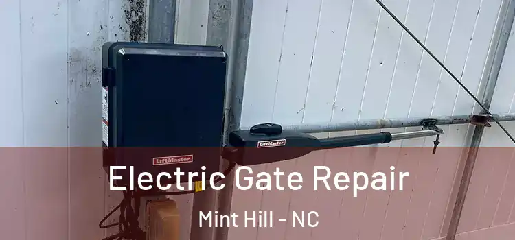  Electric Gate Repair Mint Hill - NC